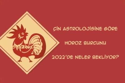 Çin astrolojisine göre Horoz Burcunu 2022'de neler bekliyor?