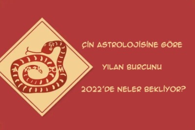 Çin astrolojisine göre Yılan Burcunu 2022'de neler bekliyor?