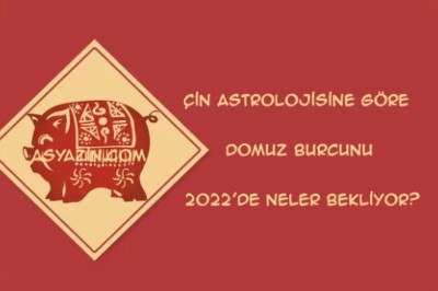 Çin astrolojisine göre Domuz Burcunu 2022'de neler bekliyor?