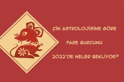 Çin astrolojisine göre Fare Burcunu 2022'de neler bekliyor?