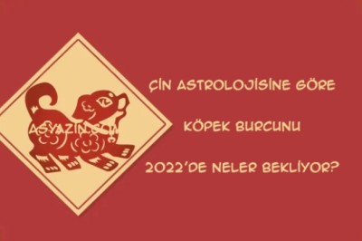 Çin astrolojisine göre Köpek Burcunu 2022'de neler bekliyor?