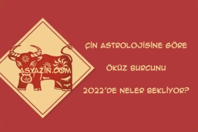 Çin astrolojisine göre Öküz Burcunu 2022'de neler bekliyor?